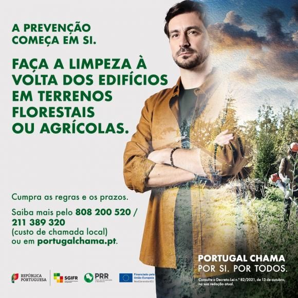 Limpeza de Terrenos 2025